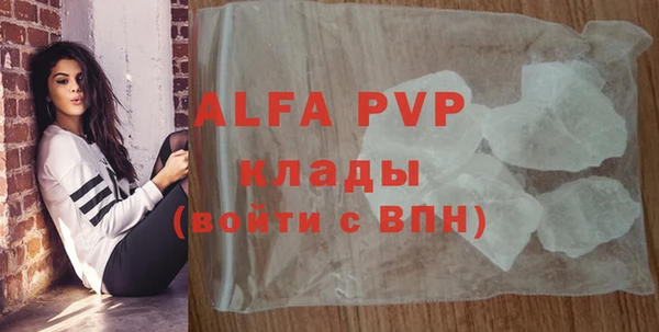 СК Алексеевка